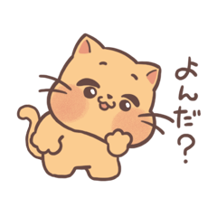 [LINEスタンプ] もちもちほっぺのねこ