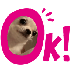 [LINEスタンプ] ROCO10.07mk
