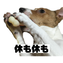 [LINEスタンプ] 再てるです