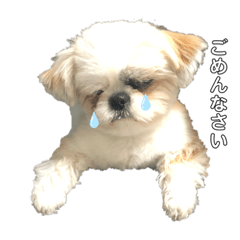 [LINEスタンプ] たかはしRくん