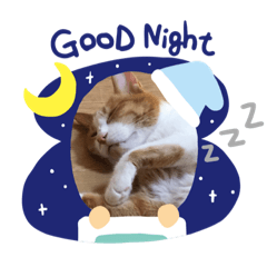 [LINEスタンプ] むっちゃんです♪
