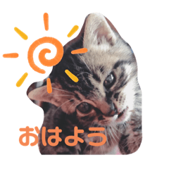 [LINEスタンプ] れいぽんずのぼん