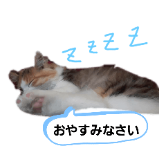 [LINEスタンプ] でぃっこともっくんの日常