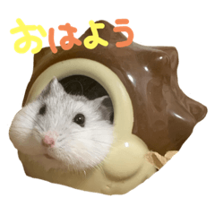 [LINEスタンプ] はむはむず III