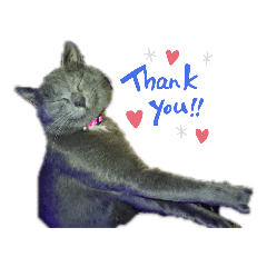 [LINEスタンプ] ウチのペットたち