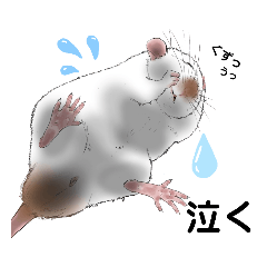 [LINEスタンプ] ファンシーラットNo1