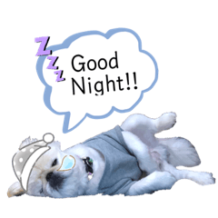 [LINEスタンプ] ペキニーズのらぷ