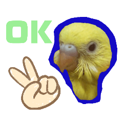 [LINEスタンプ] インコのMAXくん7
