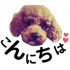 [LINEスタンプ] WON WON collection 2