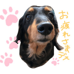 [LINEスタンプ] けんちゃんのあいさつシリーズ