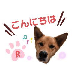[LINEスタンプ] ドッグハウスR