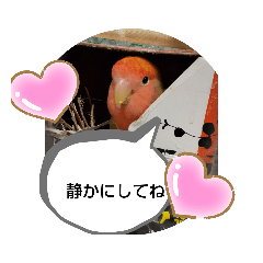 [LINEスタンプ] kawafamily22