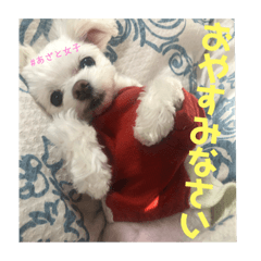 [LINEスタンプ] るあなずすたんぷ