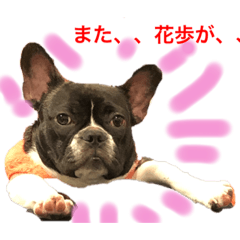 [LINEスタンプ] ボンギャビ6