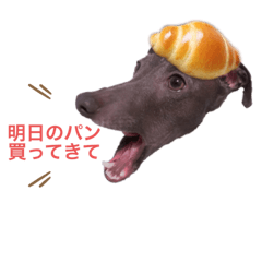 [LINEスタンプ] イッヌと。2
