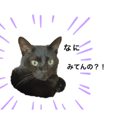 [LINEスタンプ] chibafam2