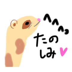 [LINEスタンプ] 太線動物