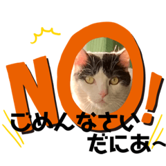 [LINEスタンプ] げんき、元気