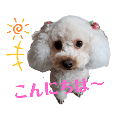 [LINEスタンプ] リアんだよ～