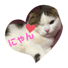 [LINEスタンプ] おもちゃんのきもち