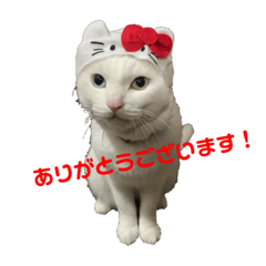 [LINEスタンプ] おもちゃん★