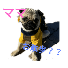 [LINEスタンプ] マメの1日