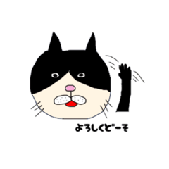 [LINEスタンプ] にゃんにゃんころstamp