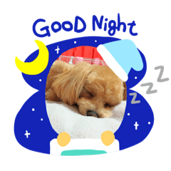 [LINEスタンプ] 星ココちゃんスタンプ