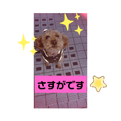 [LINEスタンプ] 尊敬スタンプ