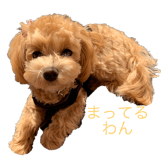 [LINEスタンプ] キャンディーとモモ