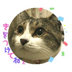 [LINEスタンプ] 吾輩はリンである