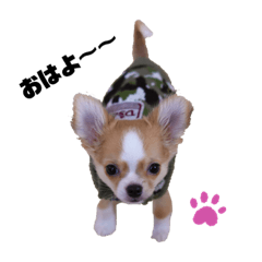 [LINEスタンプ] ちくわのスタンプ1