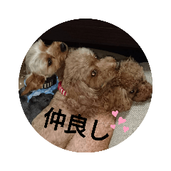 [LINEスタンプ] わんこは可愛い