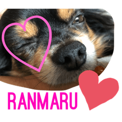 [LINEスタンプ] Ranmaru.