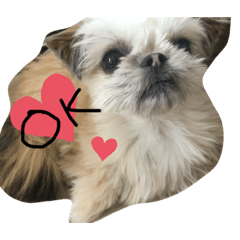[LINEスタンプ] はじめてのあんこプ