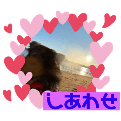[LINEスタンプ] 愛犬リキスタンプ2