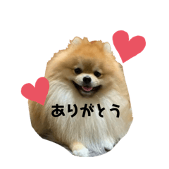 [LINEスタンプ] アロハとビビ★スタンプ