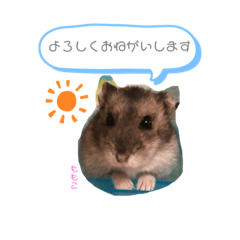 [LINEスタンプ] ジャンガリアンのももこさん