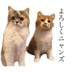 [LINEスタンプ] ミウポポルルテンポンタ2