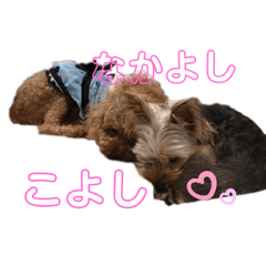 [LINEスタンプ] Ran＆Coco