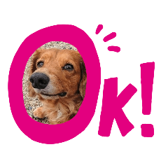 [LINEスタンプ] れおくんで伝えるキモチ