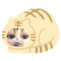 [LINEスタンプ] マユのスタンプ