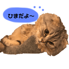 [LINEスタンプ] 銀さん金さんもなか①