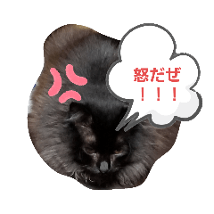 [LINEスタンプ] にゃーたさん