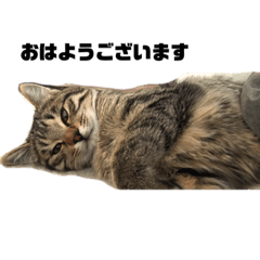 [LINEスタンプ] カワノテンテン
