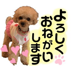 [LINEスタンプ] わんわんスタンプ★