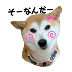 [LINEスタンプ] チョコやでPart3