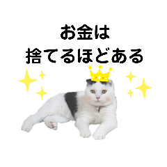 [LINEスタンプ] 白黒ネコの日常 パート7