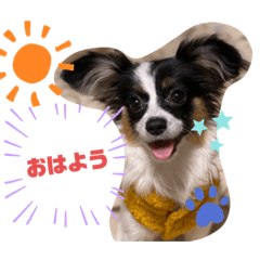 [LINEスタンプ] まろ×ちろ