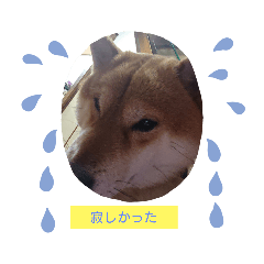 [LINEスタンプ] sibasibasiba